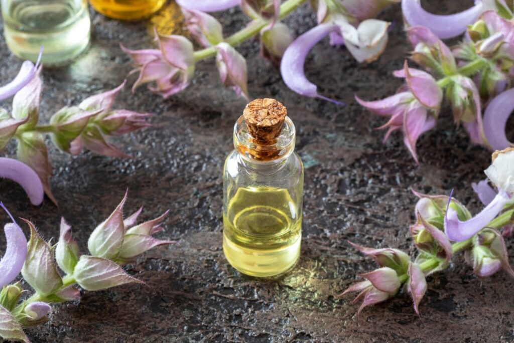 Clary Sage - Best Home Remedies for Stress - MyNaturalTreatment.com