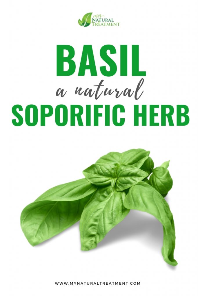 Basil, a Natural Soporific Herb