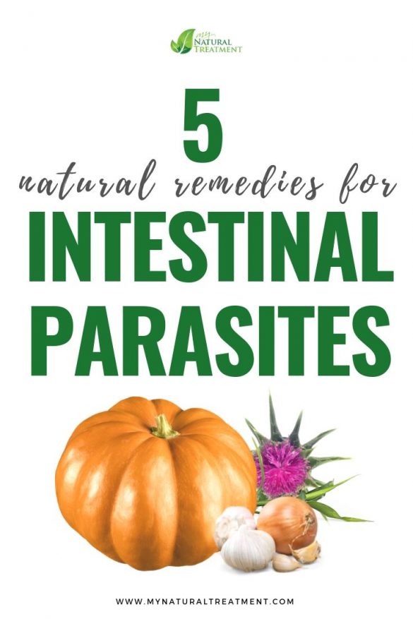 5 Natural Remedies For Intestinal Parasites With Pumpkin