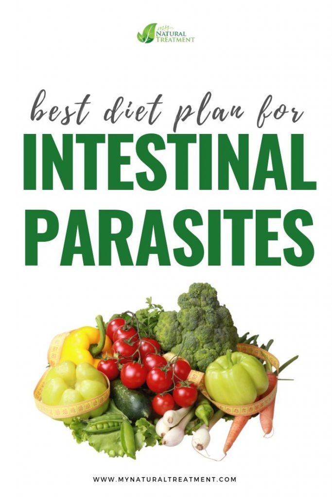 Diet for Intestinal Parasites