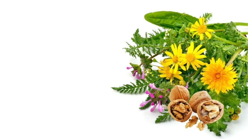 5 Natural Remedies for Anal Abscess - Herbs