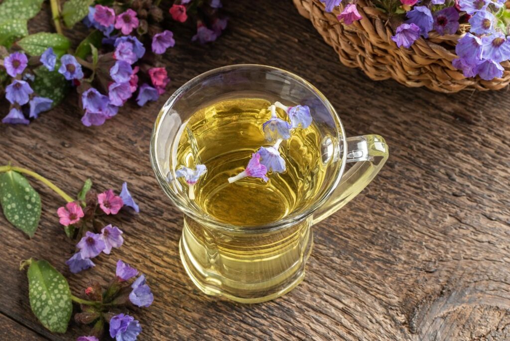 Lungwort Tea - Health Uses of Lungwort with Natural Remedies -  Home Remedies for Pharyngitis - MyNaturalTreatment.com