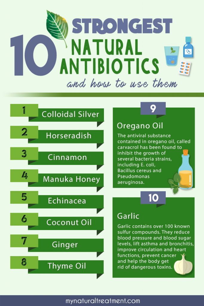 10 Strongest Natural Antibiotics and How to Use Them