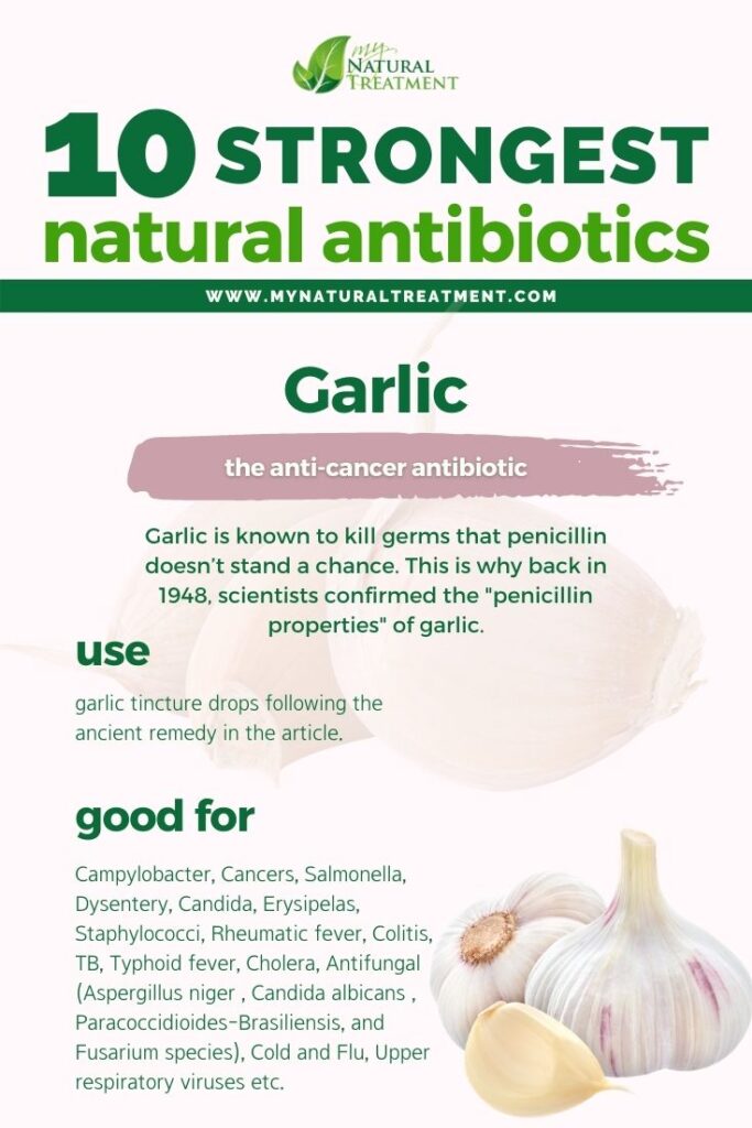 Strongest Natural Antibiotics - Garlic - MyNaturalTreatment.com