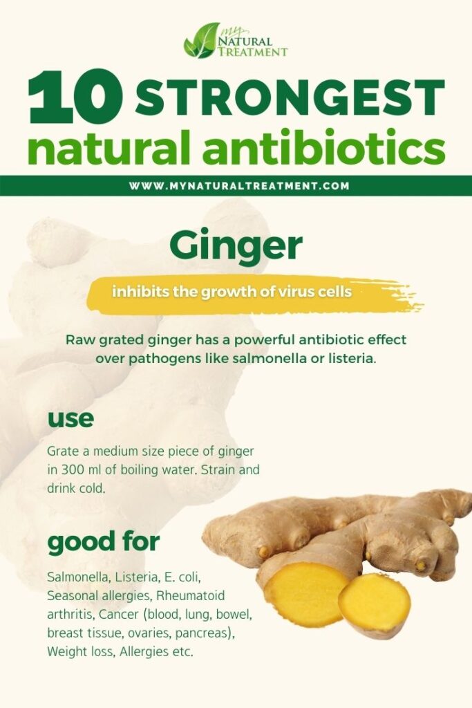Strongest Natural Antibiotics - Ginger - MyNaturalTreatment.com