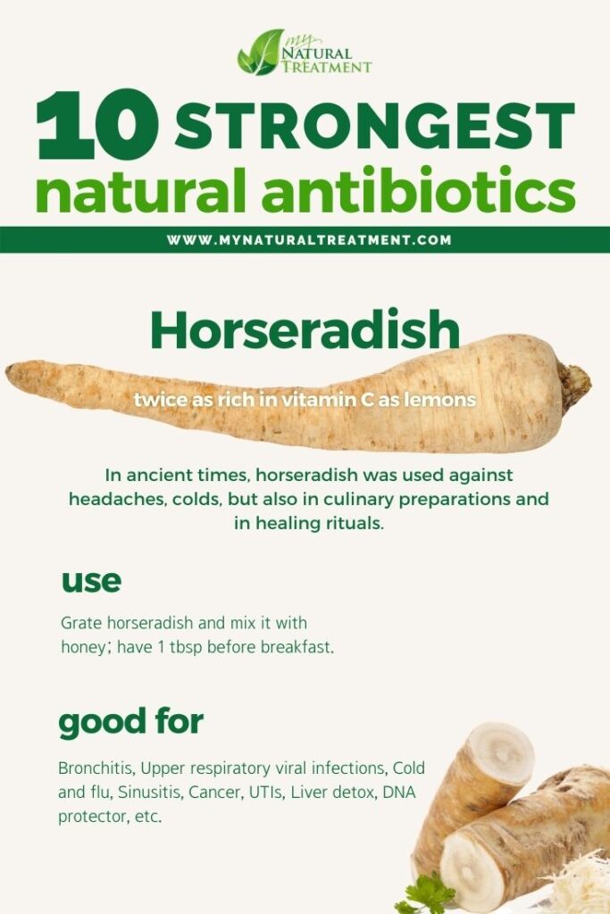 Strongest Natural Antibiotics - Horseradish - MyNaturalTreatment.com