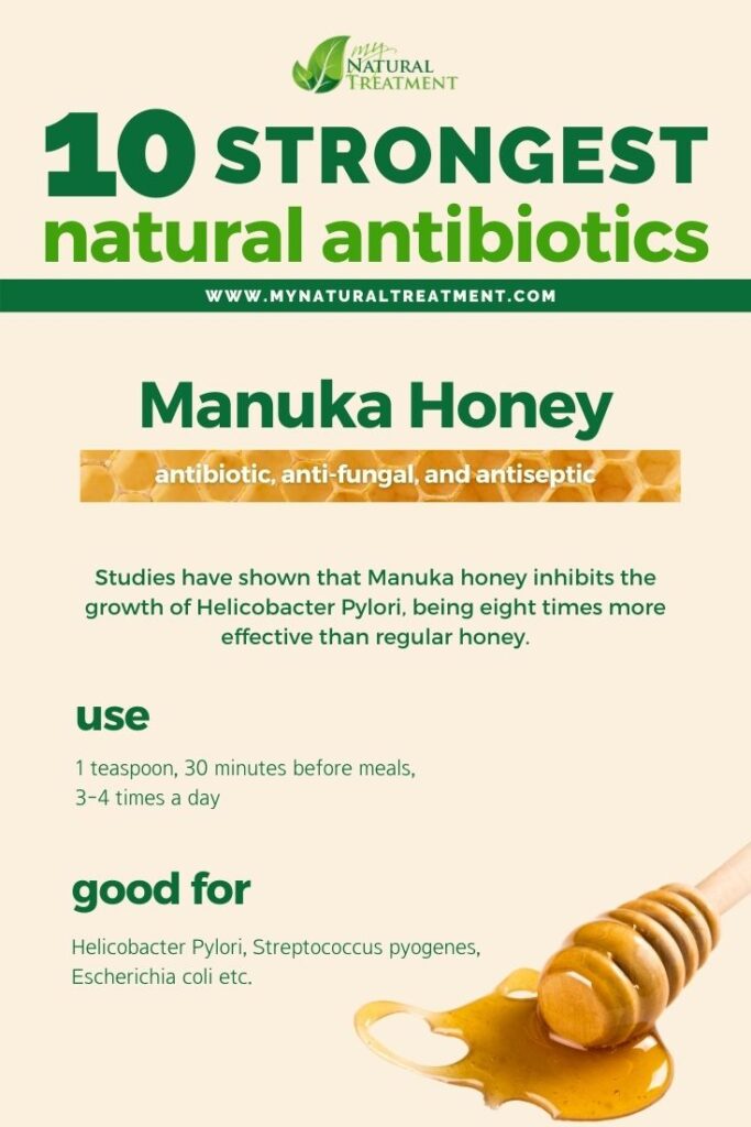 Strongest Natural Antibiotics - Manuka Honey - MyNaturalTreatment.com