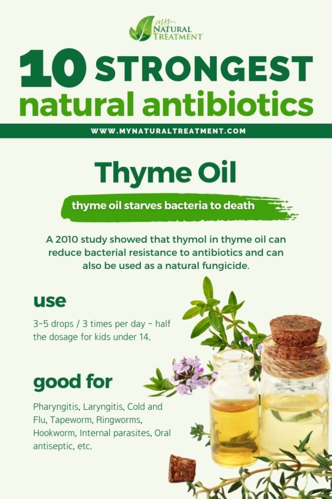 Strongest Natural Antibiotics - Thyme Oil - MyNaturalTreatment.com