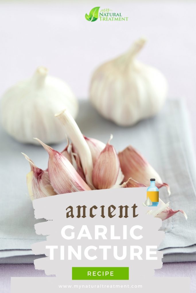 Garlic Tincture Recipe - The Best Natural Antibiotics MyNaturalTreatment.com #naturalantibiotic