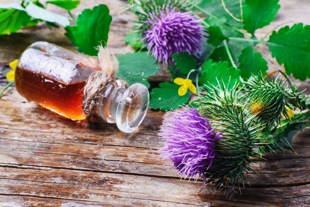 30+ Burdock Root Uses, Benefits, and Amazing Home Remedies - Flowers