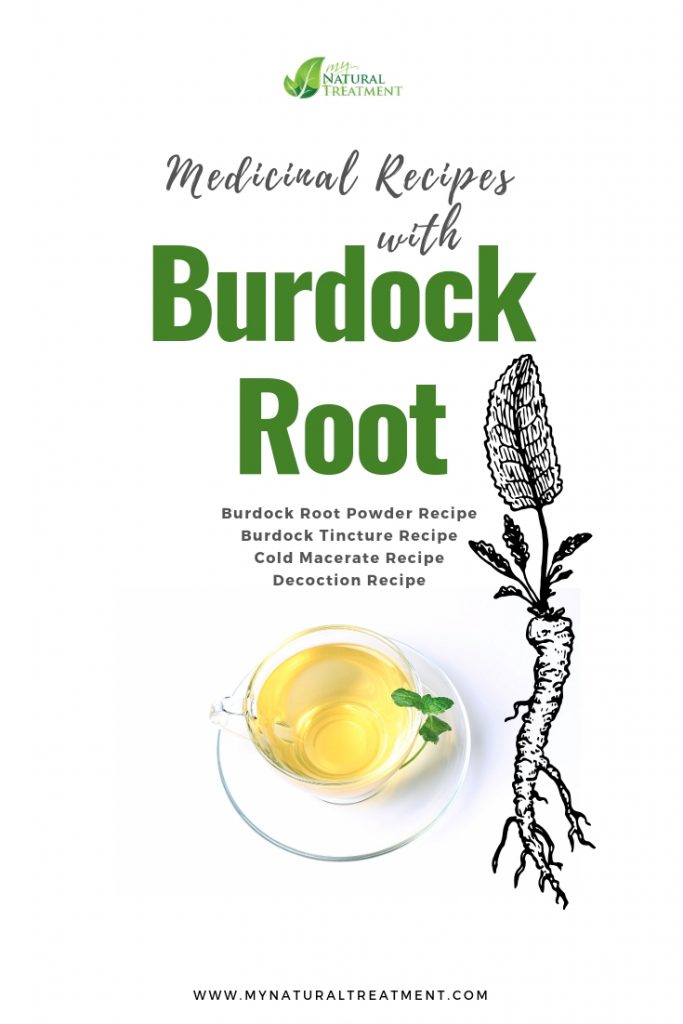 Burdock root medicinal recipes and home remedies.
