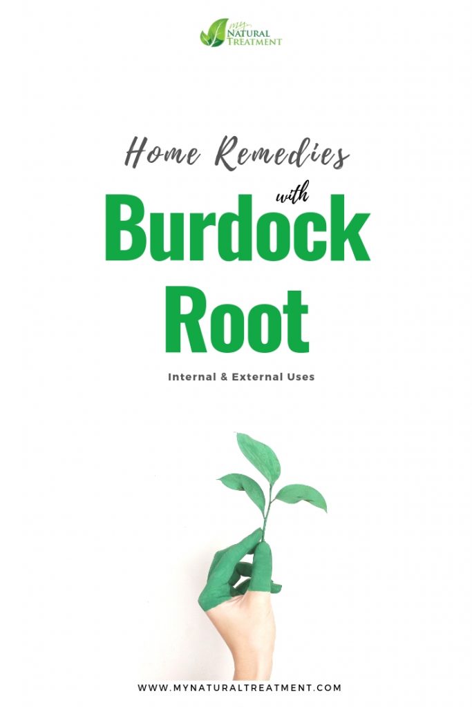 Home Remedies with Burdock Root - Internal & External Uses