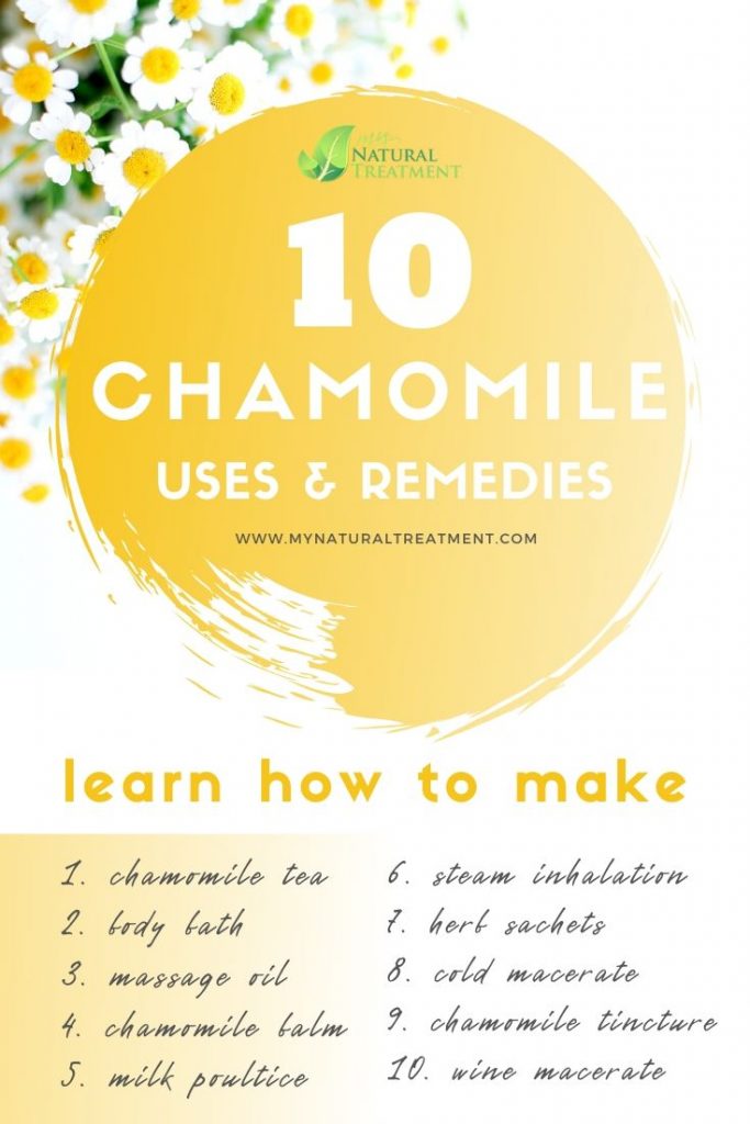 10 Chamomile Uses & Remedies - DIY Recipes with Chamomile