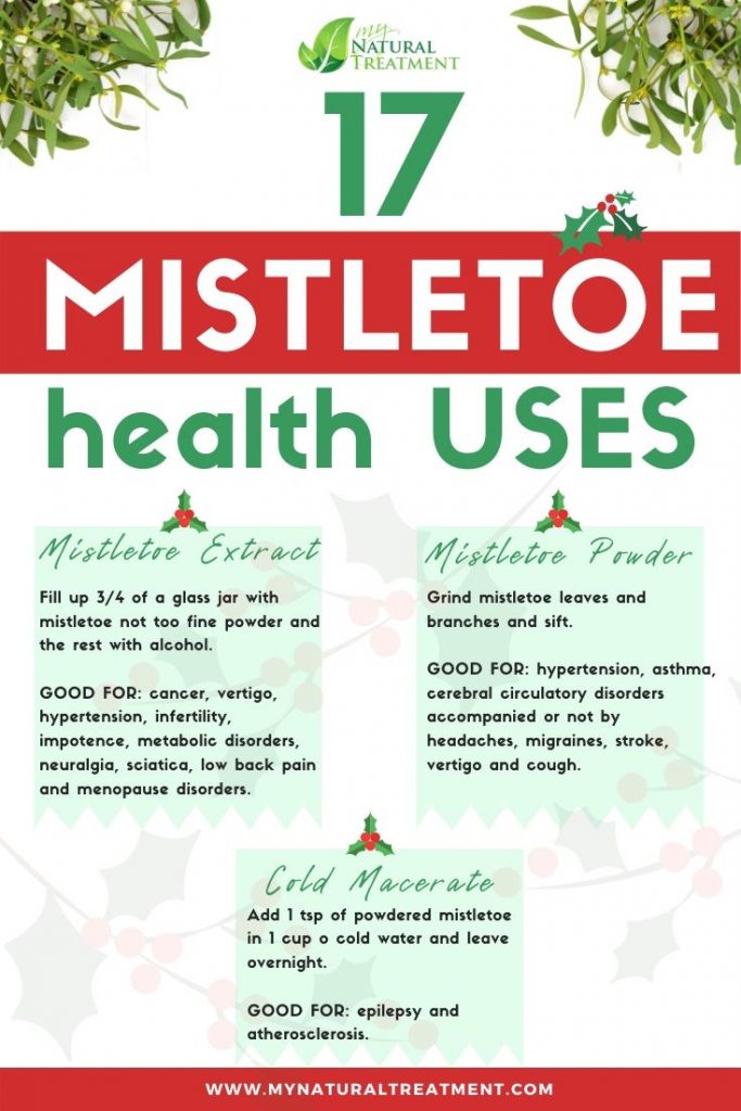17 Mistletoe Uses for Health with Recipes 