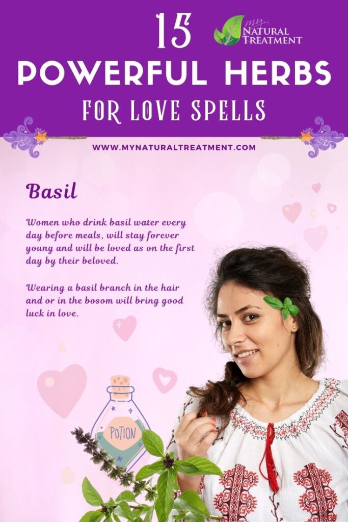Basil - Powerful Magic Herbs for Love Spells