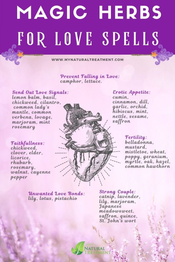 Magic Herbs for Love Spells - How to Use Herbs for Love Aches