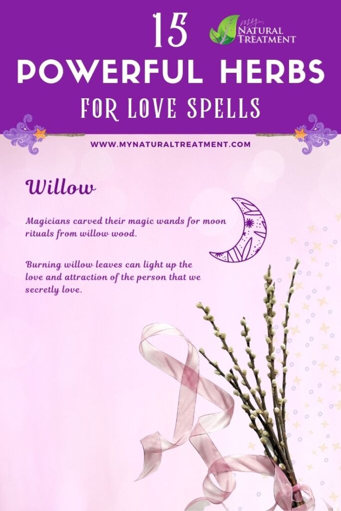 Willow - Powerful Magic Herbs for Love Spells