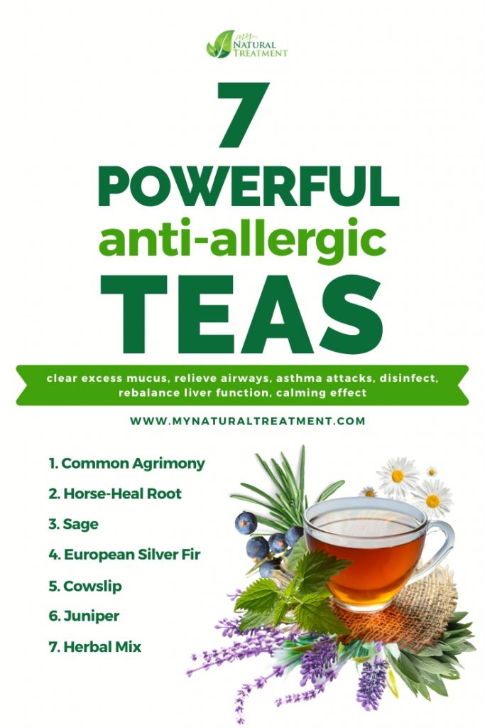 Anti-allergic teas that soothe allergic reactions and how to make them.