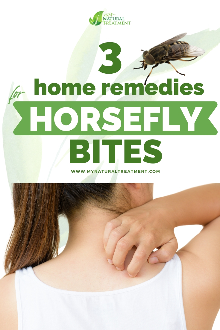 3 Quick Home Remedies for Horsefly Bites Horsefly Sting