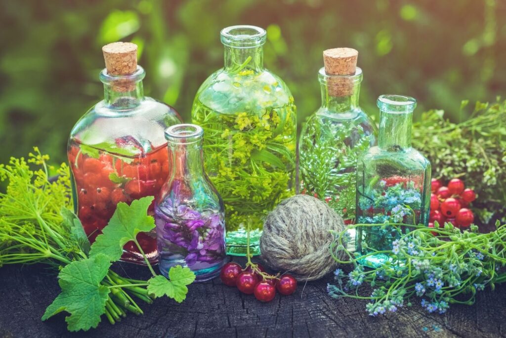 How to Make Herbal Tinctures at Home w/ Recipes - MyNaturalTreatment.com