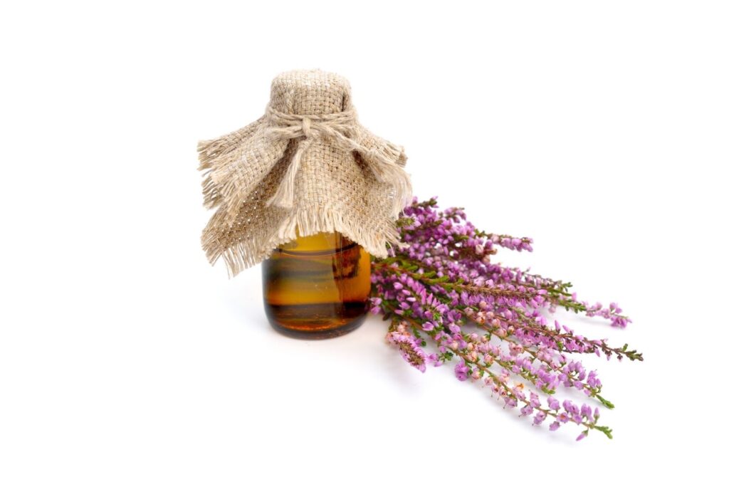 20 Natural Remedies with Tree Buds and Shoots Extracts - Calluna vulgaris