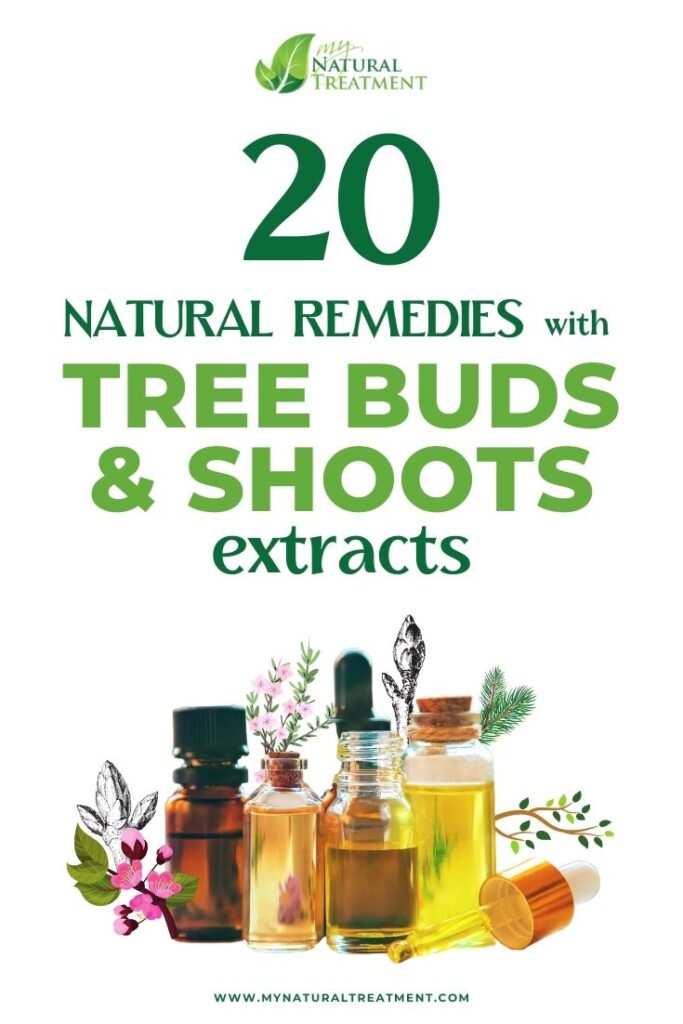 Natural Remedies with Tree Buds and Shoots Extracts - MYN