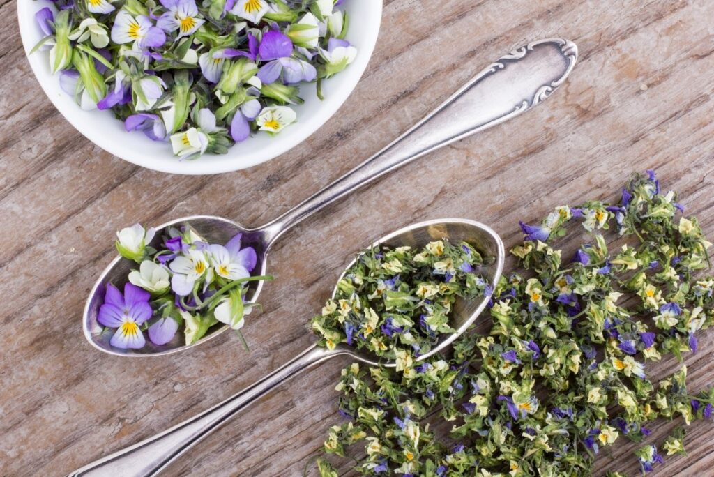 Natural Skin Care Recipes with Spring Flowers - Heartsease