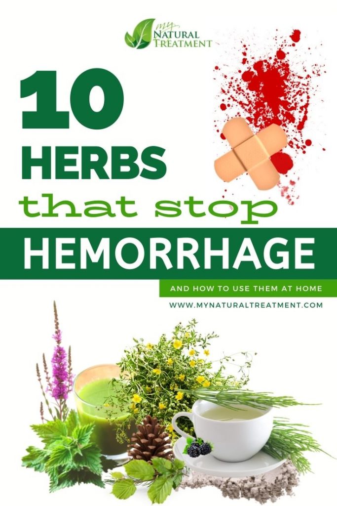 10 Best Herbs for Hemorrhage (Bleeding) - Herbs that stop hemorrhage - MyNaturalTreatment.com