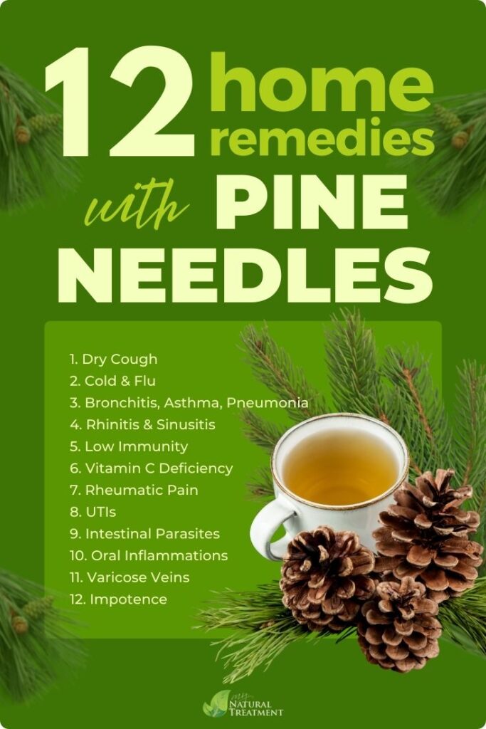 12 Home Remedies with Pine Needles - Health Benefits of Pine Needles