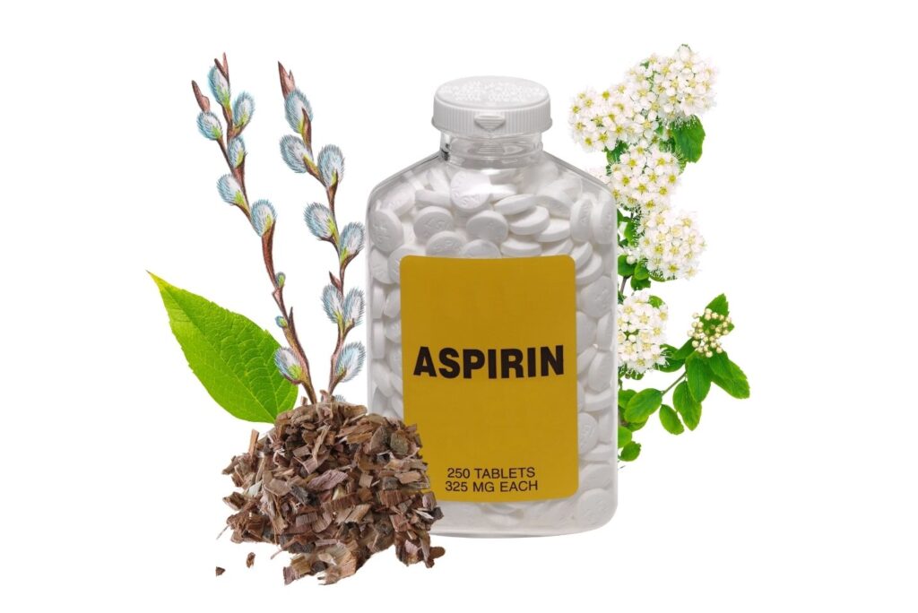 How to Make Aspirin at Home – 100% Natural - MyNaturalTreatment.com