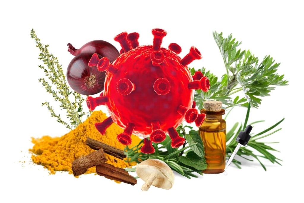 Best Natural Remedies for Respiratory Tract Infections - MyNaturalTreatment.com