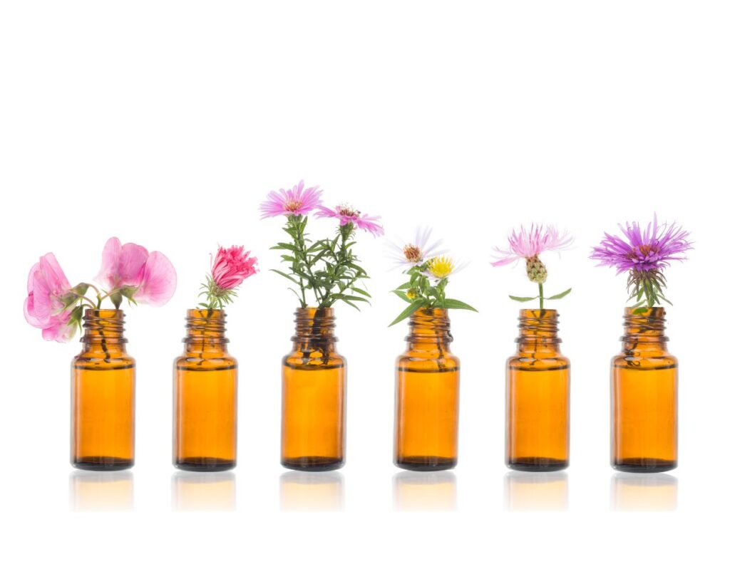 What Are Bach Flower Remedies? The 38 Bach Flower Remedies List with Uses - MyNaturalTreatment.com