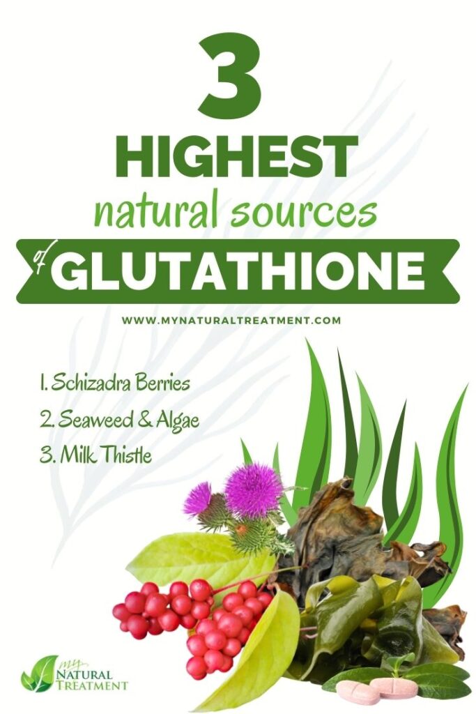 3 Highest Natural Sources of Glutathione - MyNaturalTreatment.com