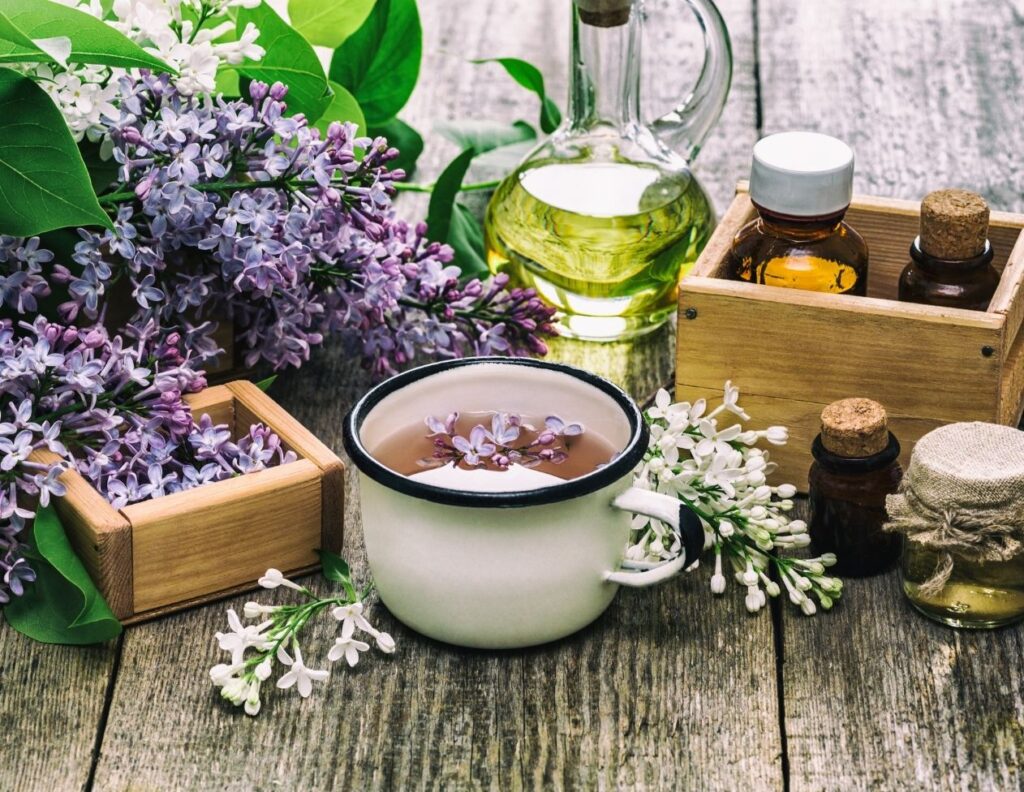 7 Health Benefits of Lilac Leaves, Uses and Natural Remedies