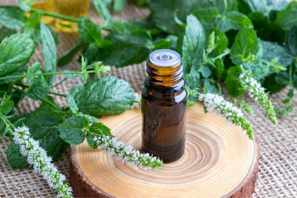 Peppermint Oil - How to Make Natural Antiviral at Home - MyNaturalTreatment.com