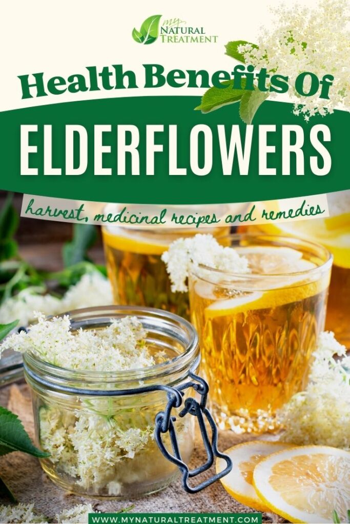 10 Health Benefits of Elderflowers and How to Use Elderflowers in Remedies - MyNaturalTreatment.com