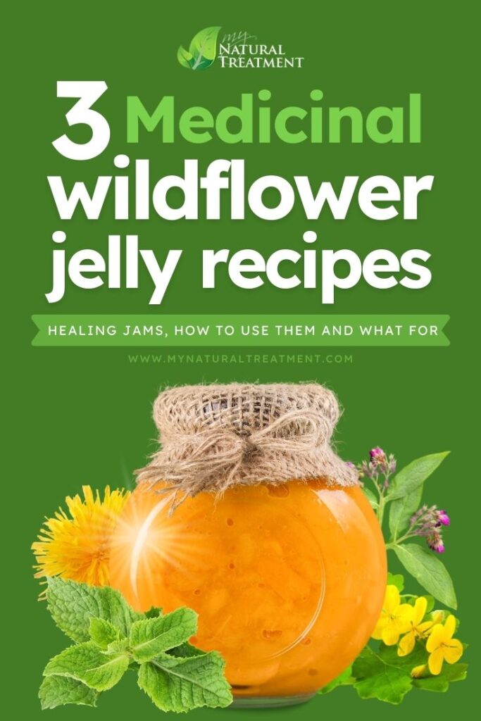 3 Medicinal Wildflower Jelly Recipes & How to Use Them - MyNaturalTreatment.com