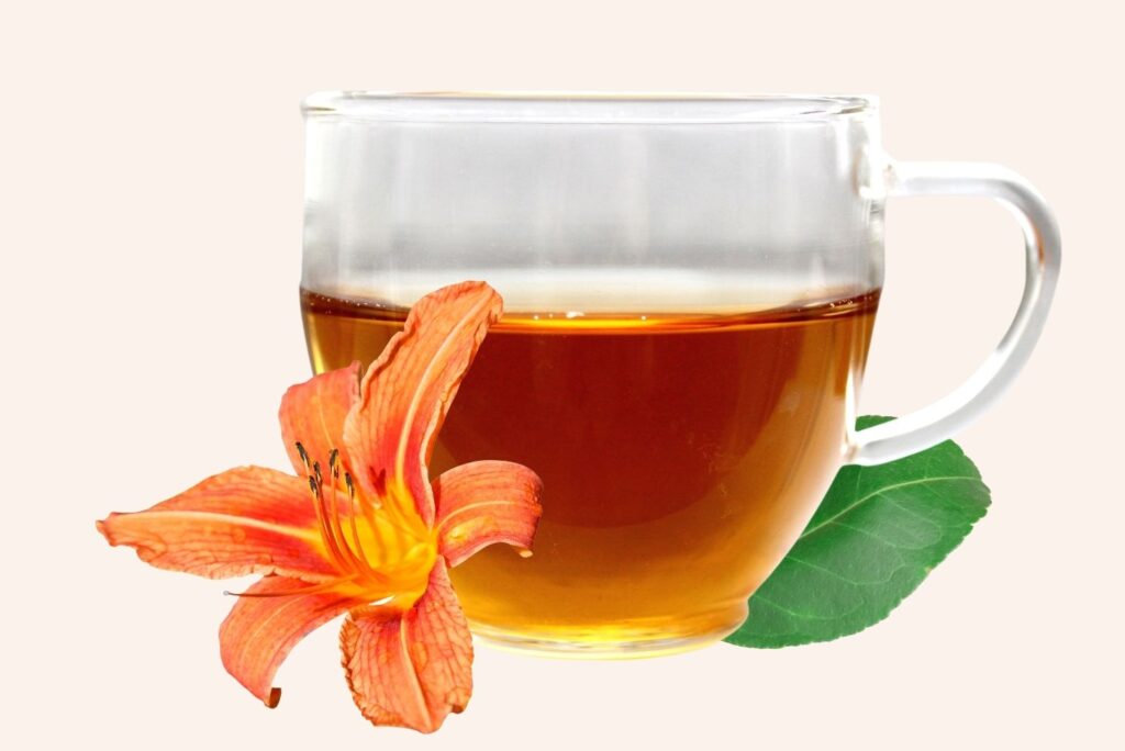 Health Benefits of Orange Daylily And How to Use - MyNaturalTreatment.com