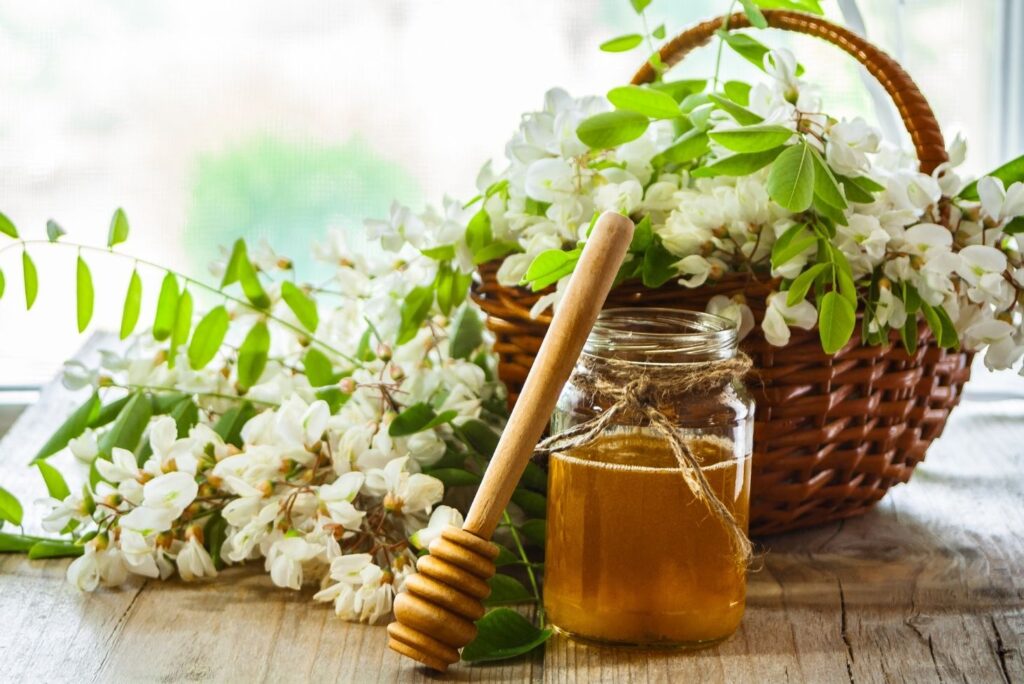 Health Benefits of Black Locust Flowers and How to Use - MyNaturalTreatment.com