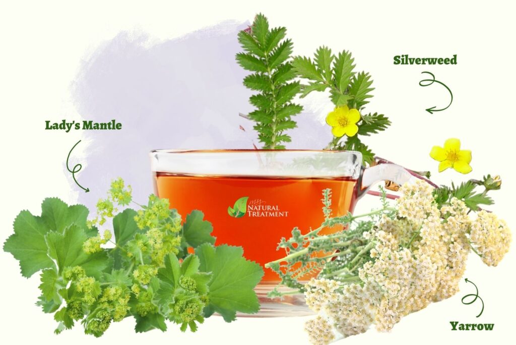 Most Powerful Natural Remedy for Menstrual Cramps with 3 Herbs - MyNaturalTreatment.com
