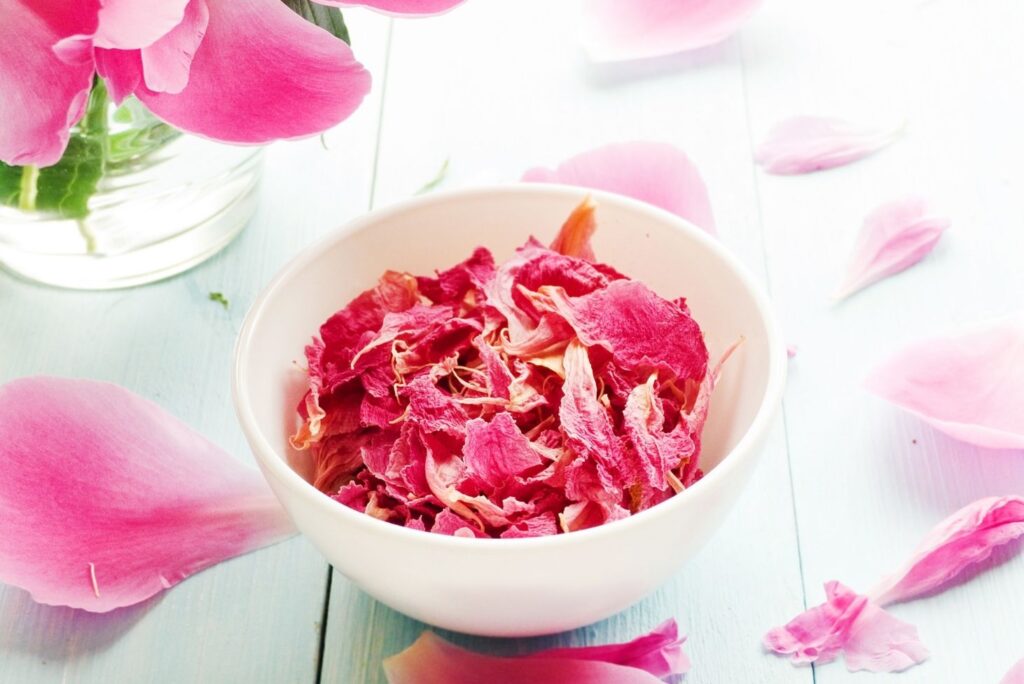 Peony Petals Uses Health Benefits of Peonies and How to Use - MyNaturalTreatment.com- MyNaturalTreatment.com