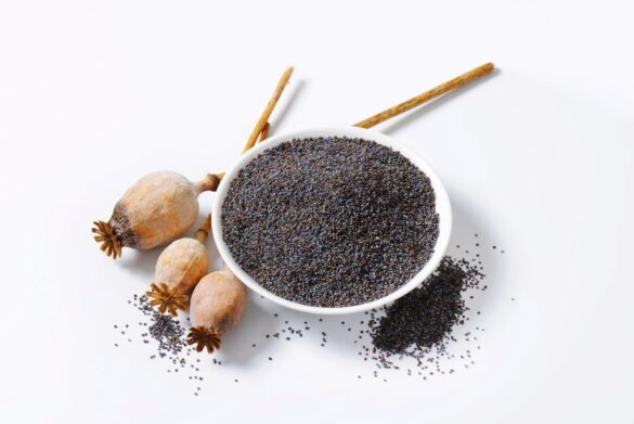 Poppy Seeds Health Benefits Of Poppy And How To Use MyNaturalTreatment.com  585x391 