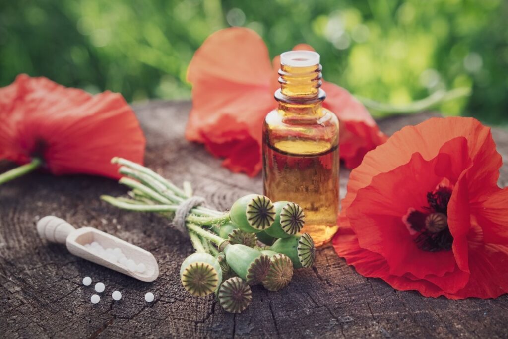 Poppy Tincture - Health Benefits of Poppy And How to Use - MyNaturalTreatment.com