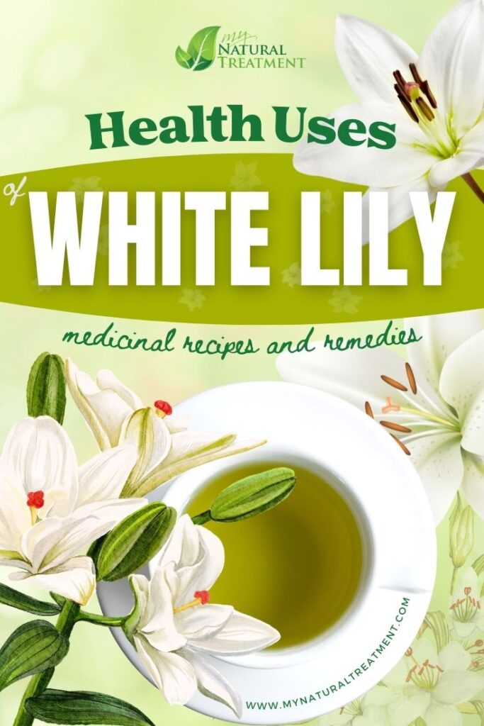 5 Health Uses of White Lily Flowers, Medicinal Recipes & Remedies - MyNaturalTreatment.com