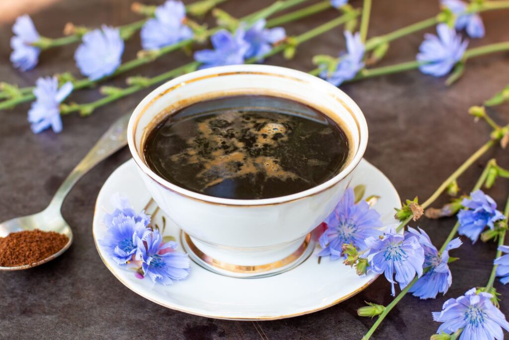 How to Make Chicory Root Coffee and 5 Chicory Root Coffee Uses - MyNaturalTreatment.com
