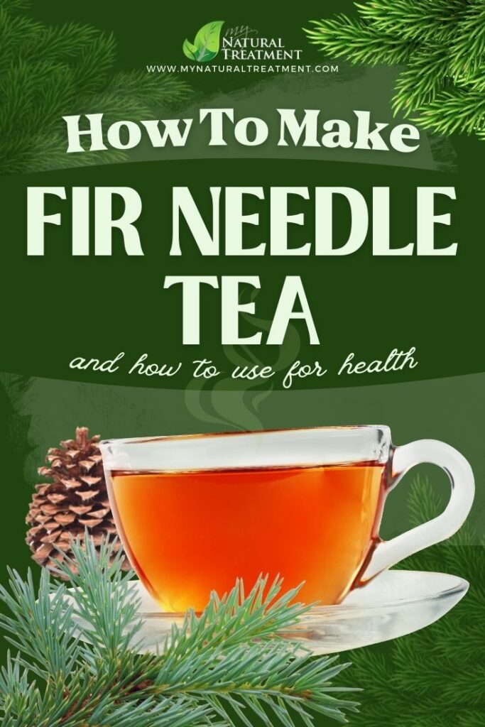 Fir Needle Tea Recipe - Fir Needle Tea Health Uses - MyNaturalTreatment.com