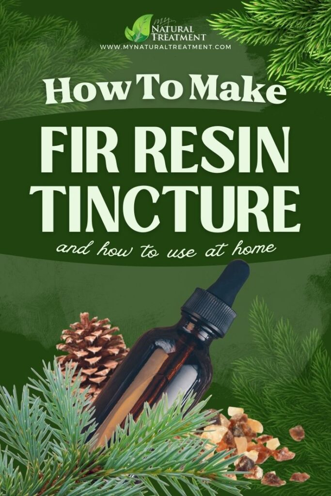 Fir Resin Tincture Recipe and How to Use - MyNaturalTreatment.com - MyNaturalTreatment.com