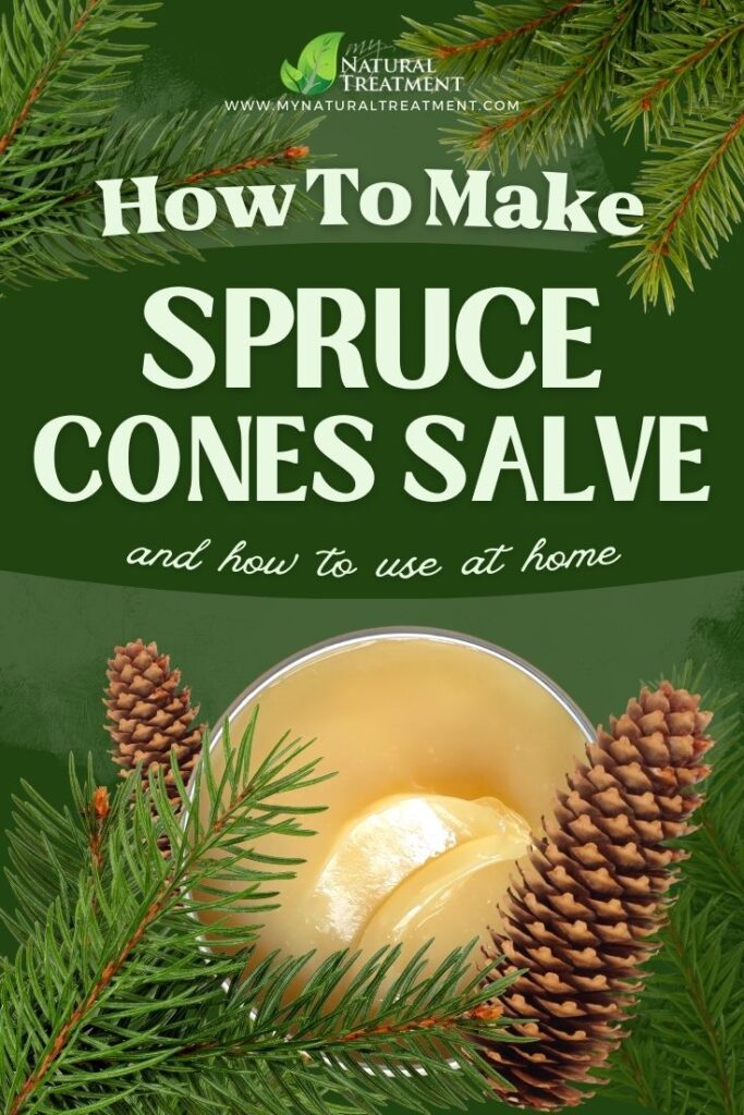 Spruce Cones Salve Recipe and How to Use - MyNaturalTreatment.com - MyNaturalTreatment.com