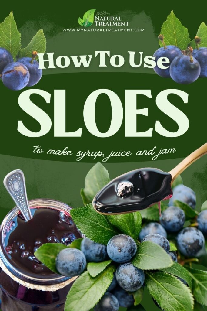 How to Use Sloes 3 Ways – Sloe Syrup, Juice, and Jam - MyNaturalTreatment.com - MyNaturalTreatment.com