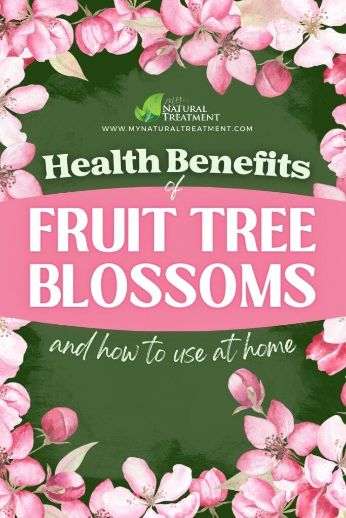 5 Health Benefits of Fruit Tree Blossoms - MyNaturalTreatment.com - MyNaturalTreatment.com